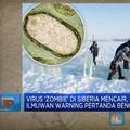 Virus 'Zombie' di Siberia Mencair, Ilmuwan Warning Bencana