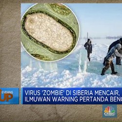 Virus 'Zombie' di Siberia Mencair, Ilmuwan Warning Bencana