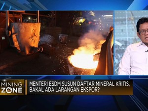 ESDM Tetapkan 47 Komoditas Jadi Mineral Kritis, Sudah Tepat?