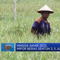 Miris! Provinsi Lumbung Beras, Defisit Beras