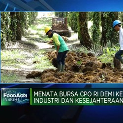Agar Bursa CPO Efektif, Pemerintah Diminta Lakukan Ini