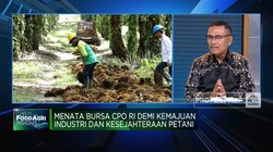 Agar Bursa CPO Efektif, Pemerintah Diminta Lakukan Ini