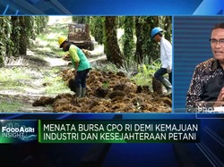 Agar Bursa CPO Efektif, Pemerintah Diminta Lakukan Ini