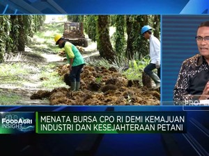 Agar Bursa CPO Efektif, Pemerintah Diminta Lakukan Ini