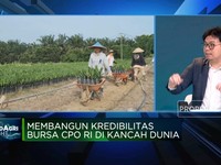 Membangun Kredibilitas Bursa CPO RI di Dunia