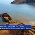 Wahai Investor, Peluang Eksplorasi Nikel Terbuka Lebar