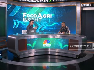 Ada Bursa CPO RI, Berapa Lama Bisa Saingi Malaysia & Belanda?