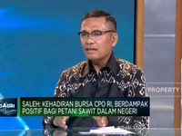 Bursa CPO dan Harapan Baru Bagi Petani