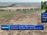 Produksi Beras RI Hanya Turun 2%, Petani Minta Tak Ada Impor!