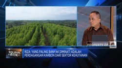 Video: Strategi IDCTA Jadi Juara Perdagangan Karbon Global