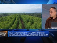 Video: Strategi IDCTA Jadi Juara Perdagangan Karbon Global