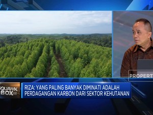 Video: Strategi IDCTA Jadi Juara Perdagangan Karbon Global