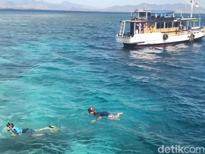 Bom Ikan Ancam Kelestarian Bawah Laut TN Komodo