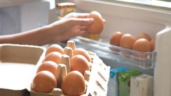 Jangan Simpan 5 Makanan Ini di Pintu Kulkas, Kualitasnya Bisa Menurun