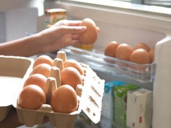 Batas Aman Menyimpan Telur di Suhu Ruang dan Kulkas Batas Aman Menyimpan Telur di Suhu Ruang dan Kulkas