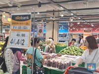 Ngidam Anggur Red Globe? Beli di Transmart Dijamin Murah