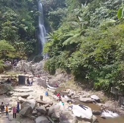 Budidaya Kopi Jadi Wujud Pemberdayaan Desa BRILiaN Karawang