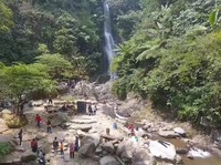 Budidaya Kopi Jadi Wujud Pemberdayaan Desa BRILiaN Karawang