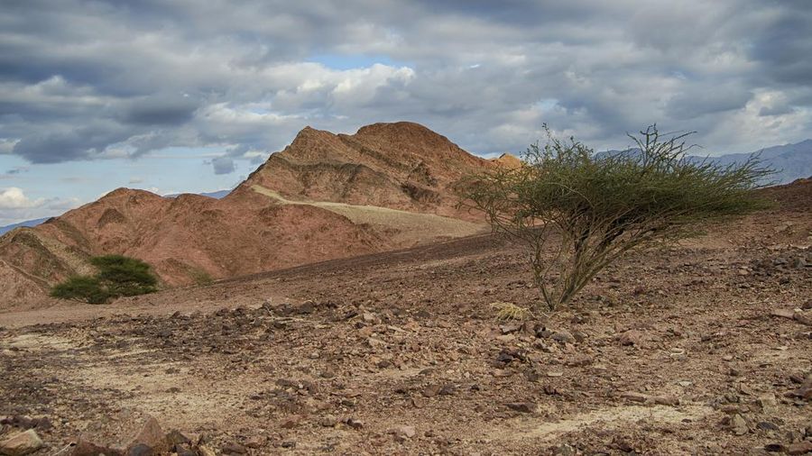 Gurun Negev di Israel. (Dok. Pixabay)