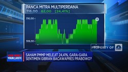 Video: Saham Emiten Udang Milik Kaesang, PMMP Tembus ARA!