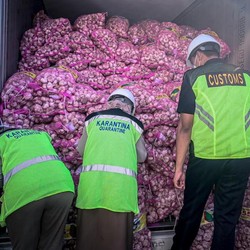 RI Impor Bawang Putih dari China, Pak Ganjar Gimana Nih?