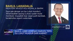 Jubir Kemenko Marves Tepis Isu Luhut Mundur dari Kabinet