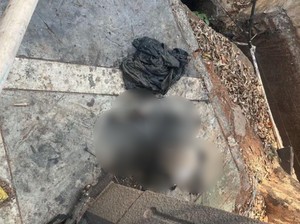 Sulitnya Identifikasi Tengkorak Lelaki di Gorong-gorong Jaktim