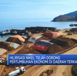 Peran dan Komitmen Swasta Dorong Program Hilirisasi Pemerintah