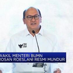 Wakil Menteri Bumn Rosan Roeslani Resmi Mengundurkan Diri