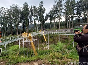 Ngeri, Begini Detik-detik Jembatan Kaca Pecah hingga Tewaskan 1 Wisawatan