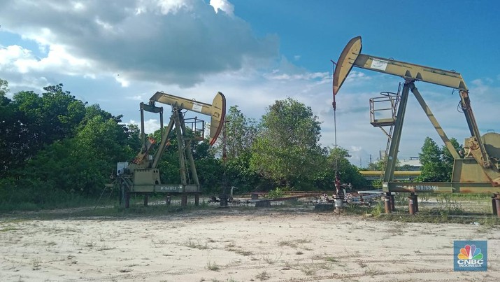 Pompa angguk Wilayah Kerja (WK) Rokan PT Pertamina Hulu Rokan (PHR). (CNBC Indonesia/Pratama Guitarra)