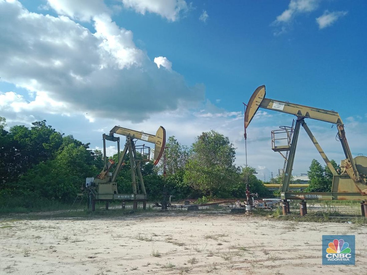 PT Pertamina Hulu Energi Targetkan Produksi Minyak dan Gas Nasional Meningkat 2025