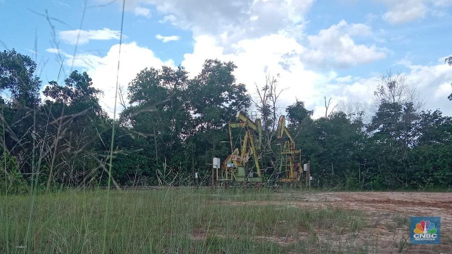 Pompa angguk Wilayah Kerja (WK) Rokan PT Pertamina Hulu Rokan (PHR). (CNBC Indonesia/Pratama Guitarra)