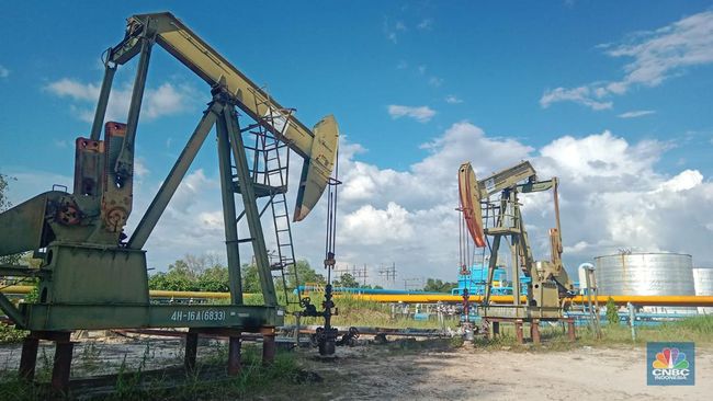 Produksi Naik, Dalam 3 Tahun Pertamina Rokan Gali 1.380 Sumur Minyak