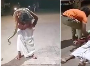 Nyaris Tewas gegara Selfie Konyol dengan Ular Piton