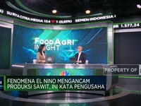 Video: Fenomena El Nino Ancam Produksi Edamame & Sagu RI