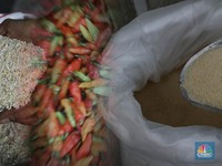 Harga Sembako Beterbangan Hari Ini, Beras Masih Ugal-ugalan