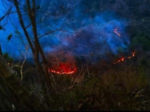 Bukit Menoreh Kalibawang Kulon Progo Terbakar Lagi, Diduga Ini Sebabnya