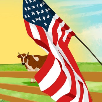 Perang Minggir Dulu, Amerika