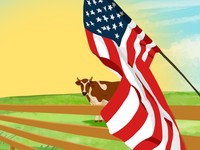 Perang Minggir Dulu, Amerika 