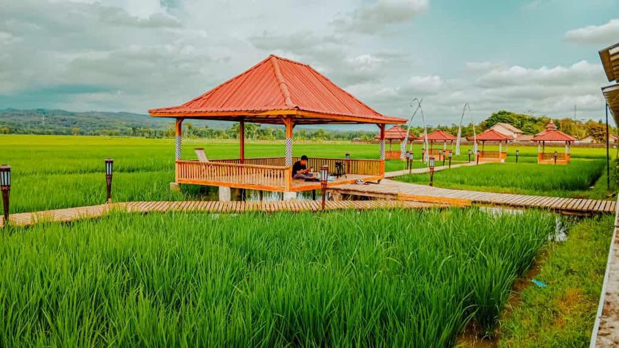 Desa BRILian (Dok BRI)