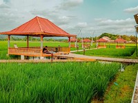 Bukan Cuma Kasih Kredit, Ini yang Dilakukan BRI Buat UMKM RI
