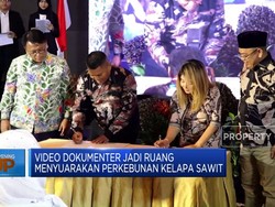 Gelaran Lomba Dokumenter Kelapa Sawit