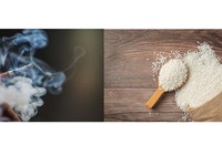 Alasan Orang Miskin Lebih Suka Beli Rokok Dibanding Beras & Telur