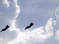 Ngeri PD 3, Jet Tempur China Nyaris Tabrak Bomber AS