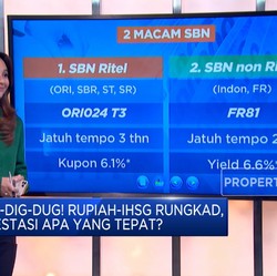 Mau Investasi di SBN, Kenali Jenis dan Keuntungannya!