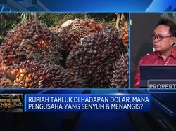 Pengusaha Keluhkan Industri Manufaktur Kurang Didukung