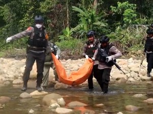 55 Aparat-104 Warga Sipil Tewas Dibunuh KKB Selama 3 Tahun Terakhir