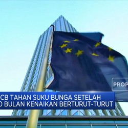Video: Simak! Perbedaan Kebijakan Bank Sentral Eropa Vs Turki