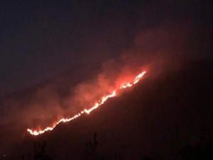 Kebakaran di Lereng Gunung Abang, Pendaki Rekam Titik Api Memanjang